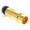 Koaxial TV Stecker Kompressionsstecker Gold 7mm HQ Qualität