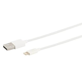 Handy Ladekabel USB Typ A zu USB Typ 8pin Schnellladekabel Weiß 1 Meter für Apple iPad Air / Air 2 / Pro